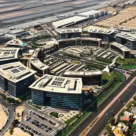 Free Zone Company Liquidation